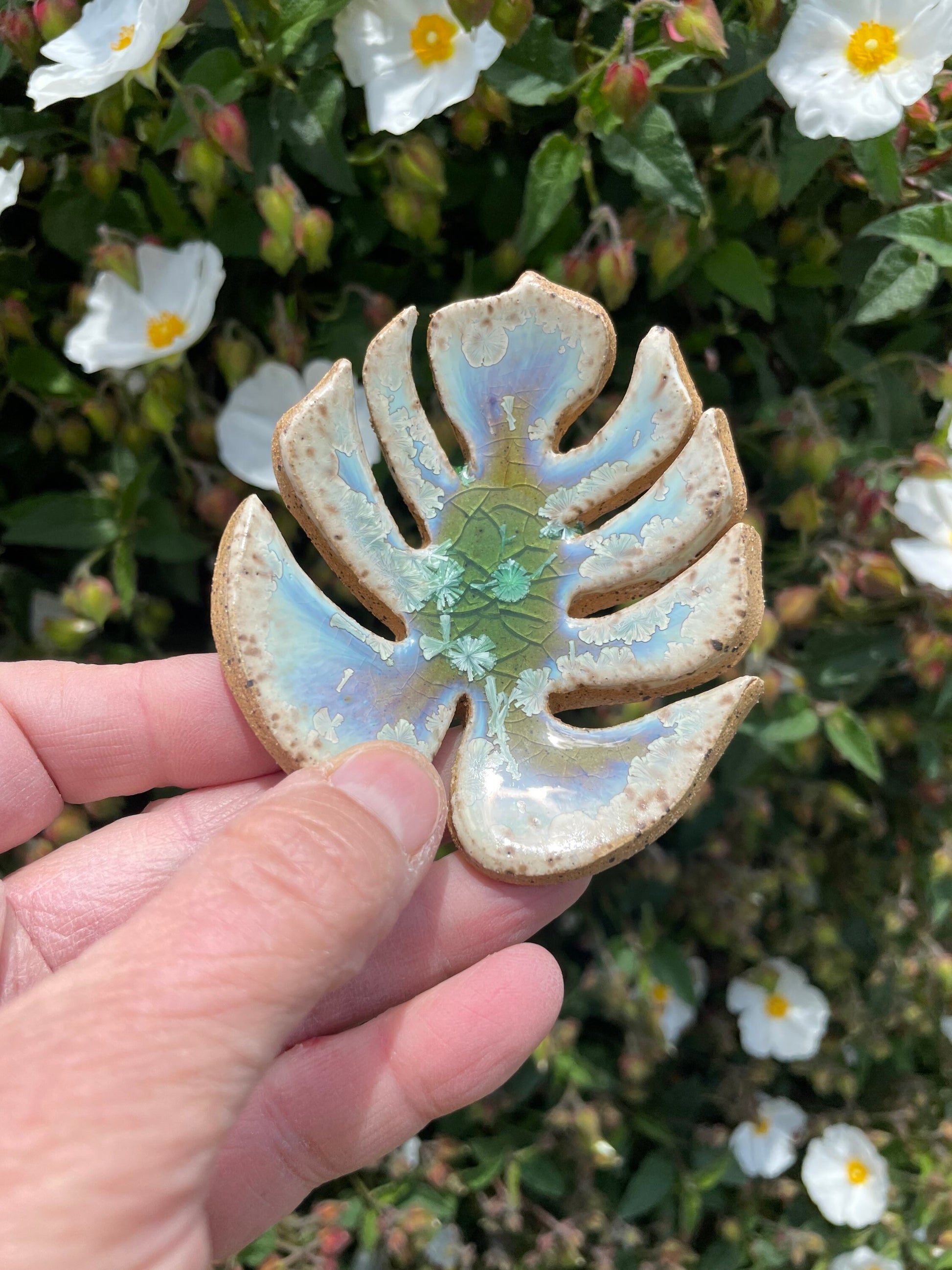 Handmade ceramic Monstera leaf dishes