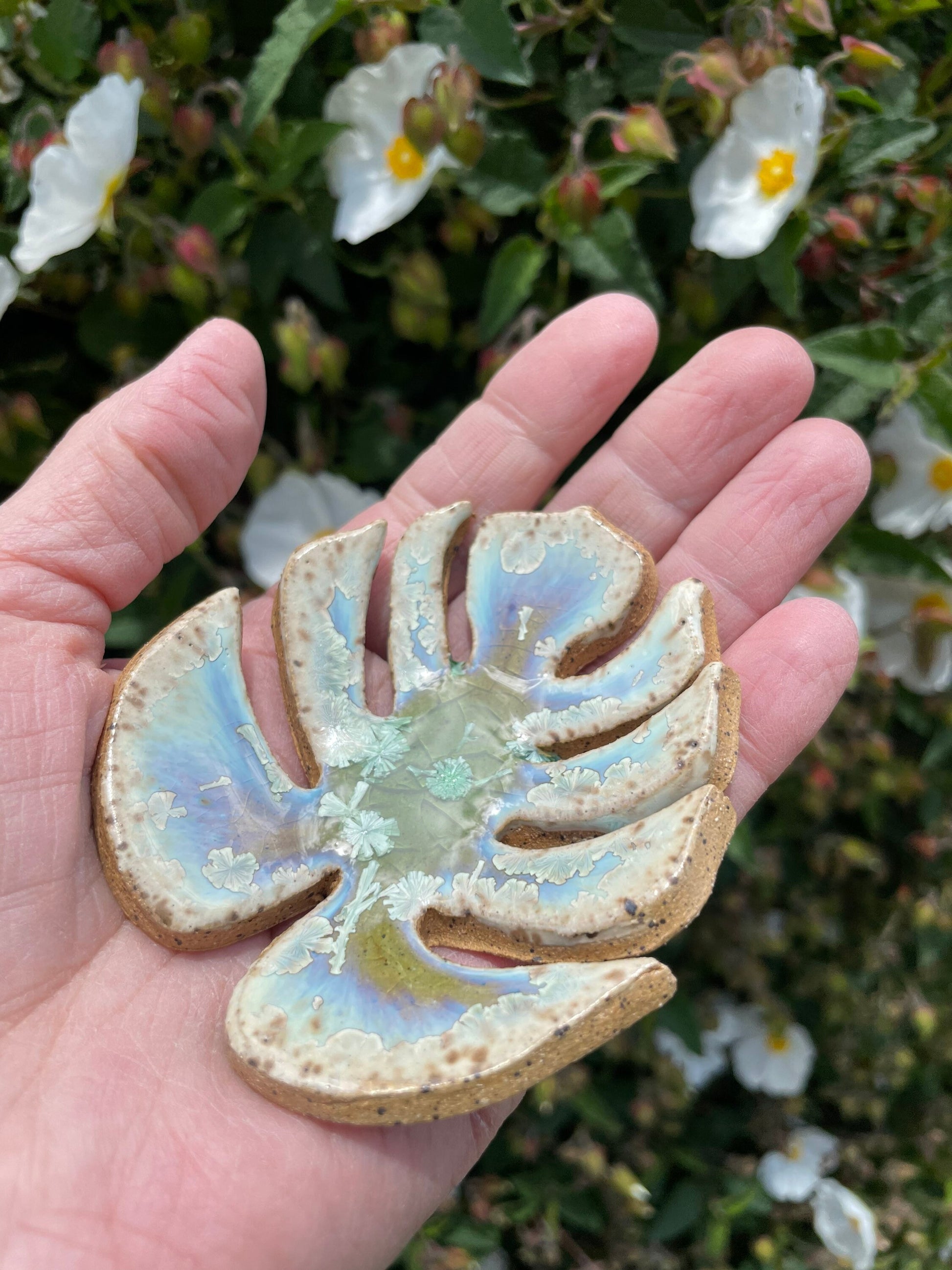 Handmade ceramic Monstera leaf dishes