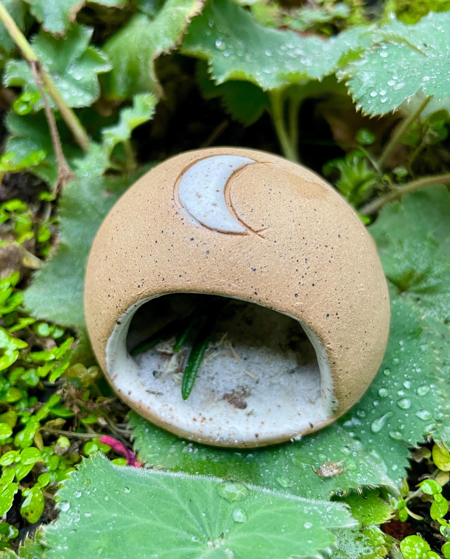 Handmade Moon Salt Dome • Ceramic Herbal or Crystal Keeper • Ritual Protection Pod