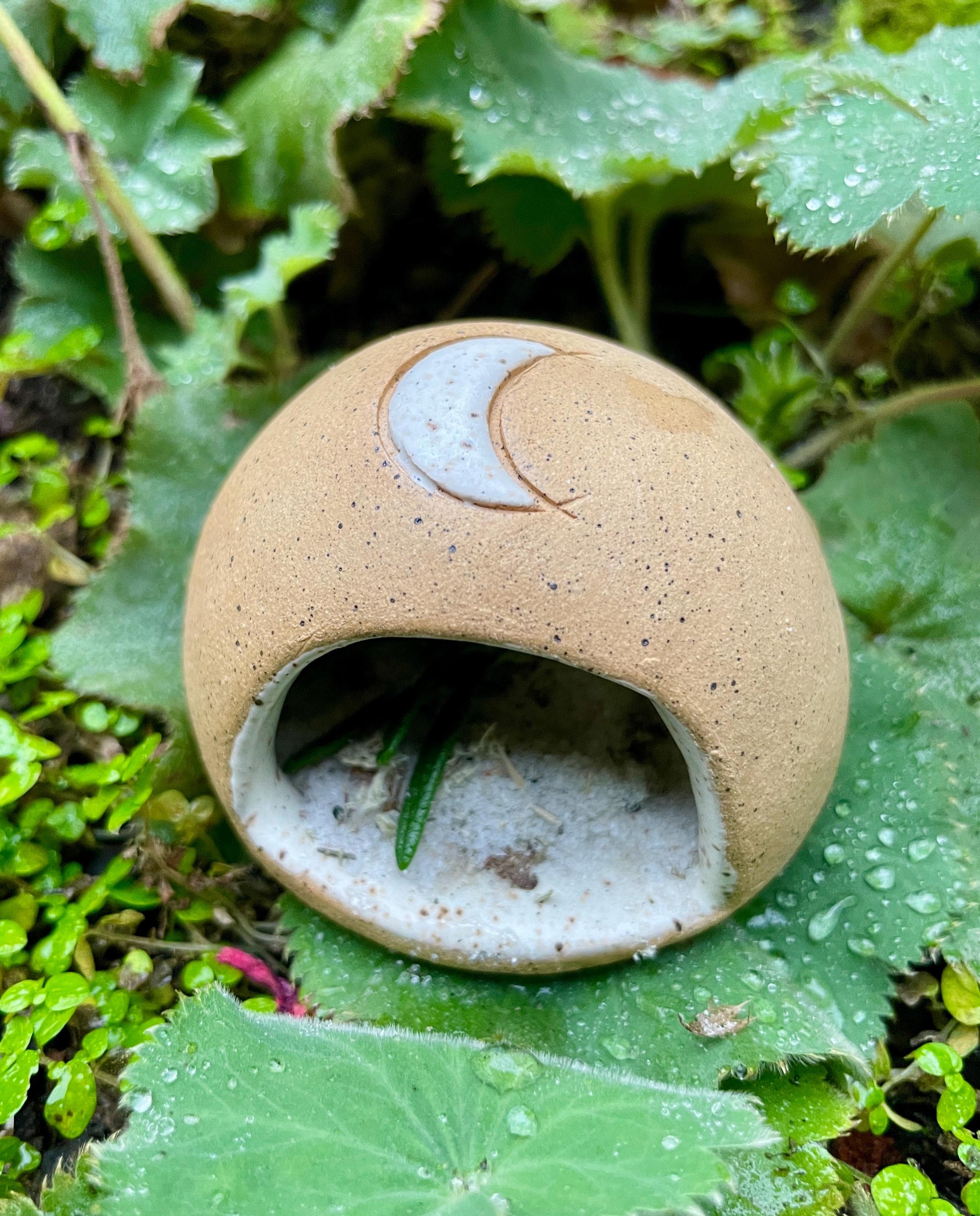 Handmade Moon Salt Dome • Ceramic Herbal or Crystal Keeper • Ritual Protection Pod